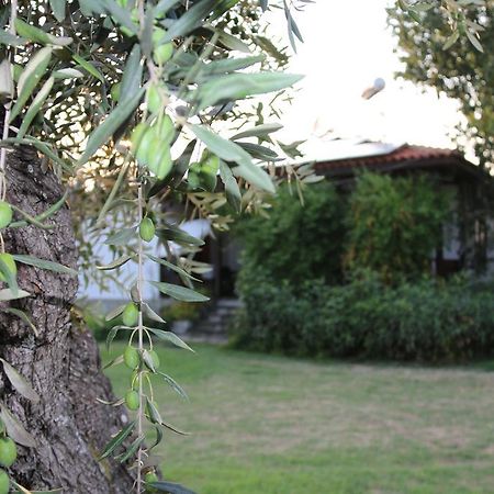 Apartmán Patroudis House Skala Rachoni  Exteriér fotografie