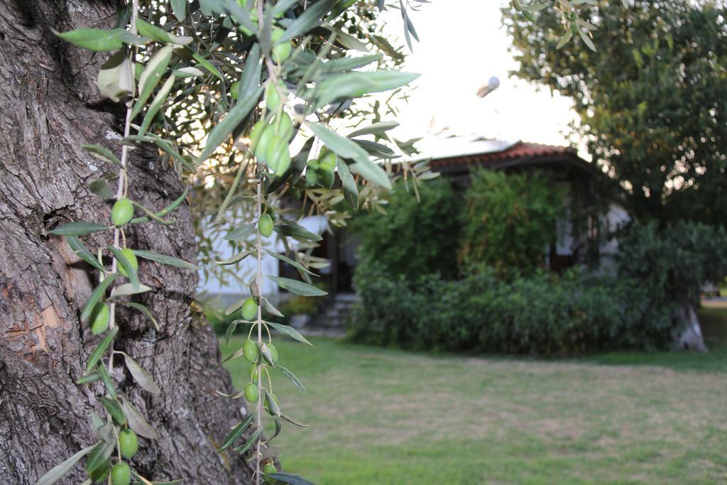 Apartmán Patroudis House Skala Rachoni  Exteriér fotografie
