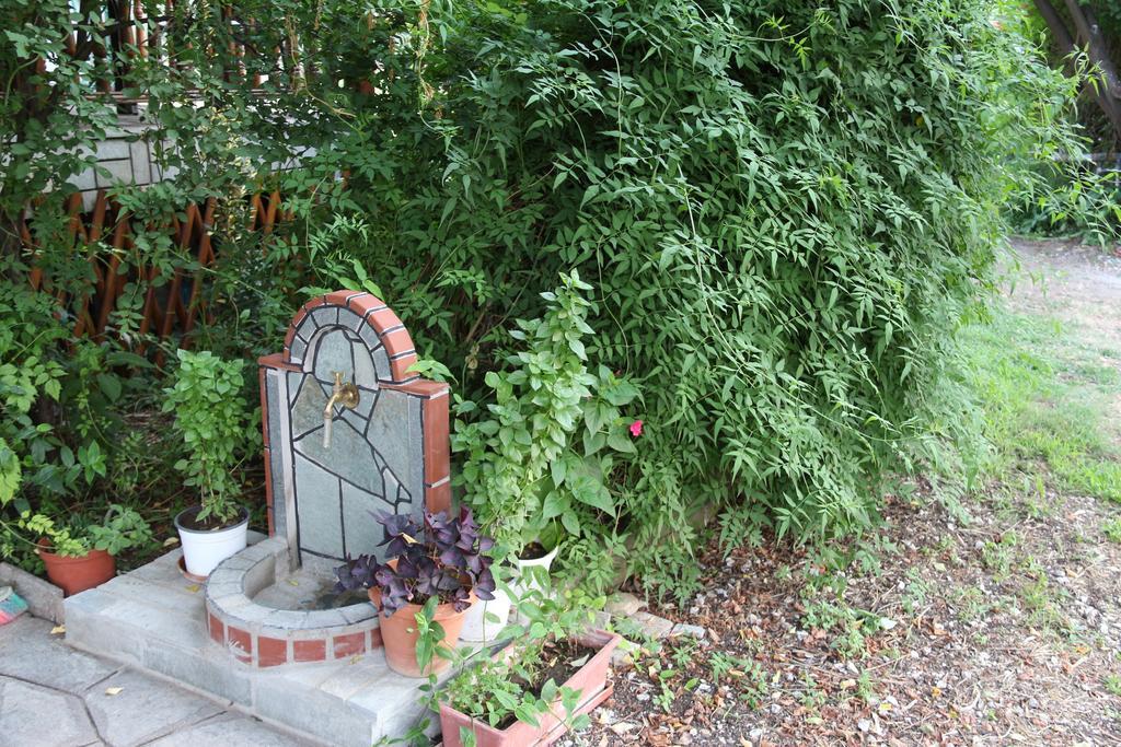 Apartmán Patroudis House Skala Rachoni  Exteriér fotografie