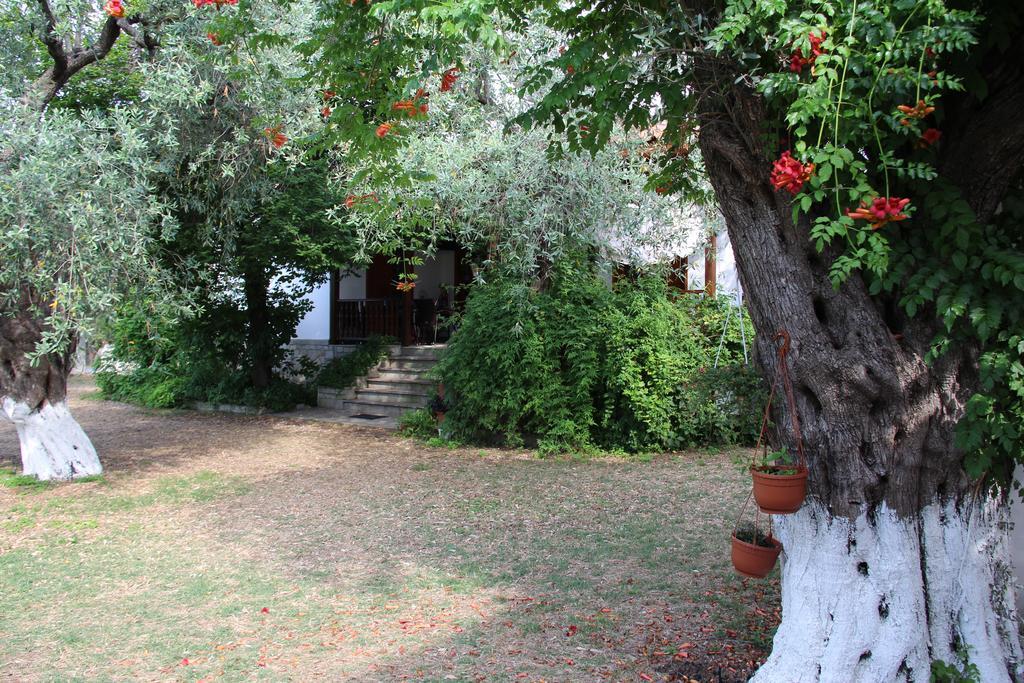 Apartmán Patroudis House Skala Rachoni  Pokoj fotografie