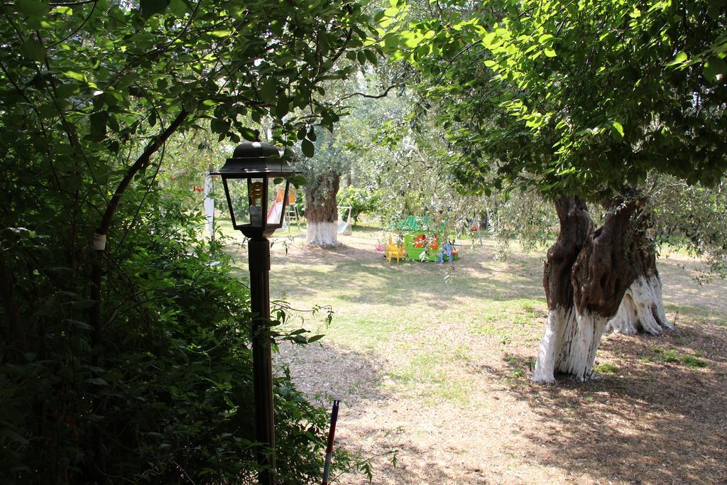 Apartmán Patroudis House Skala Rachoni  Pokoj fotografie