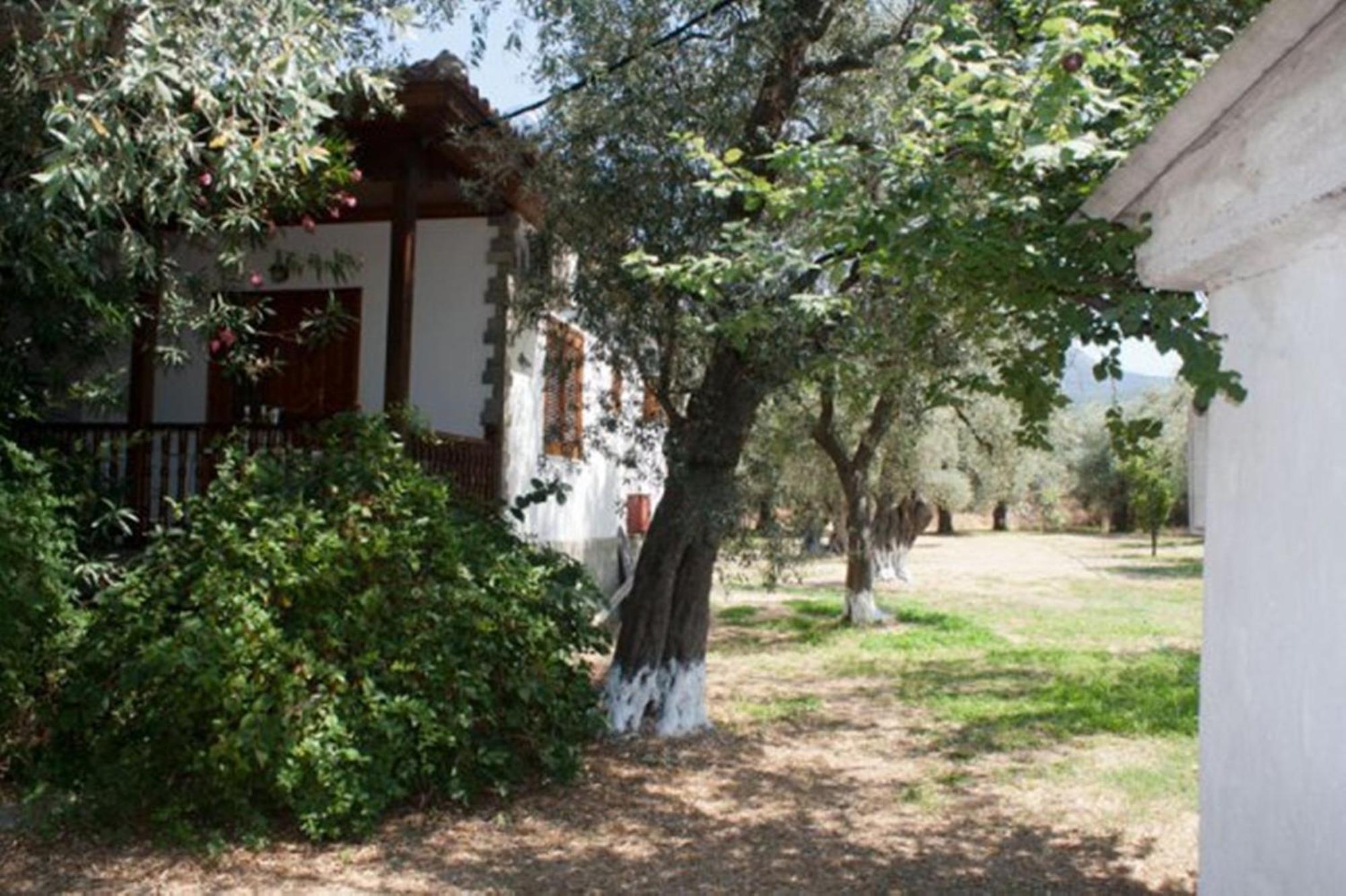 Apartmán Patroudis House Skala Rachoni  Exteriér fotografie