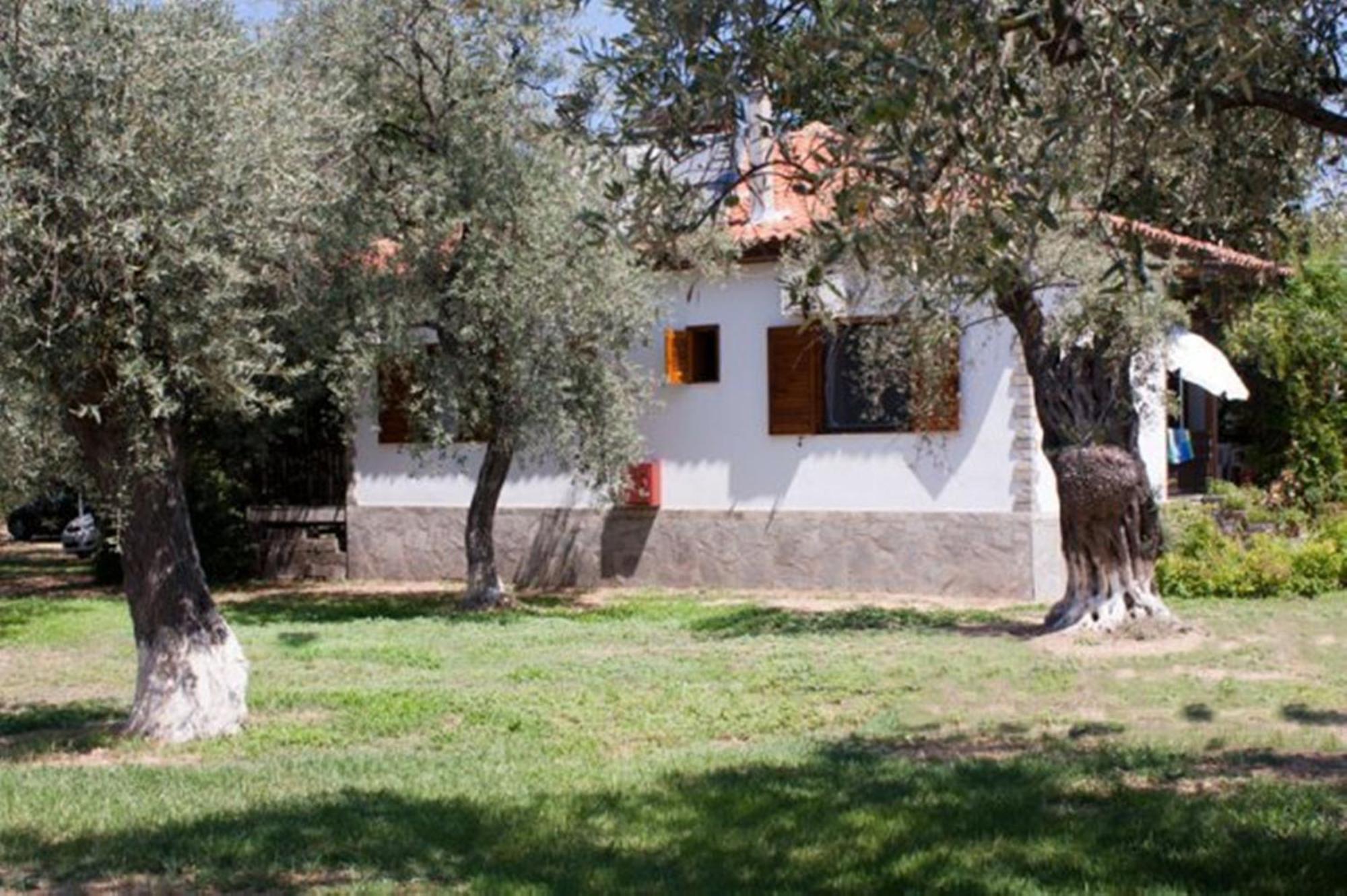 Apartmán Patroudis House Skala Rachoni  Exteriér fotografie