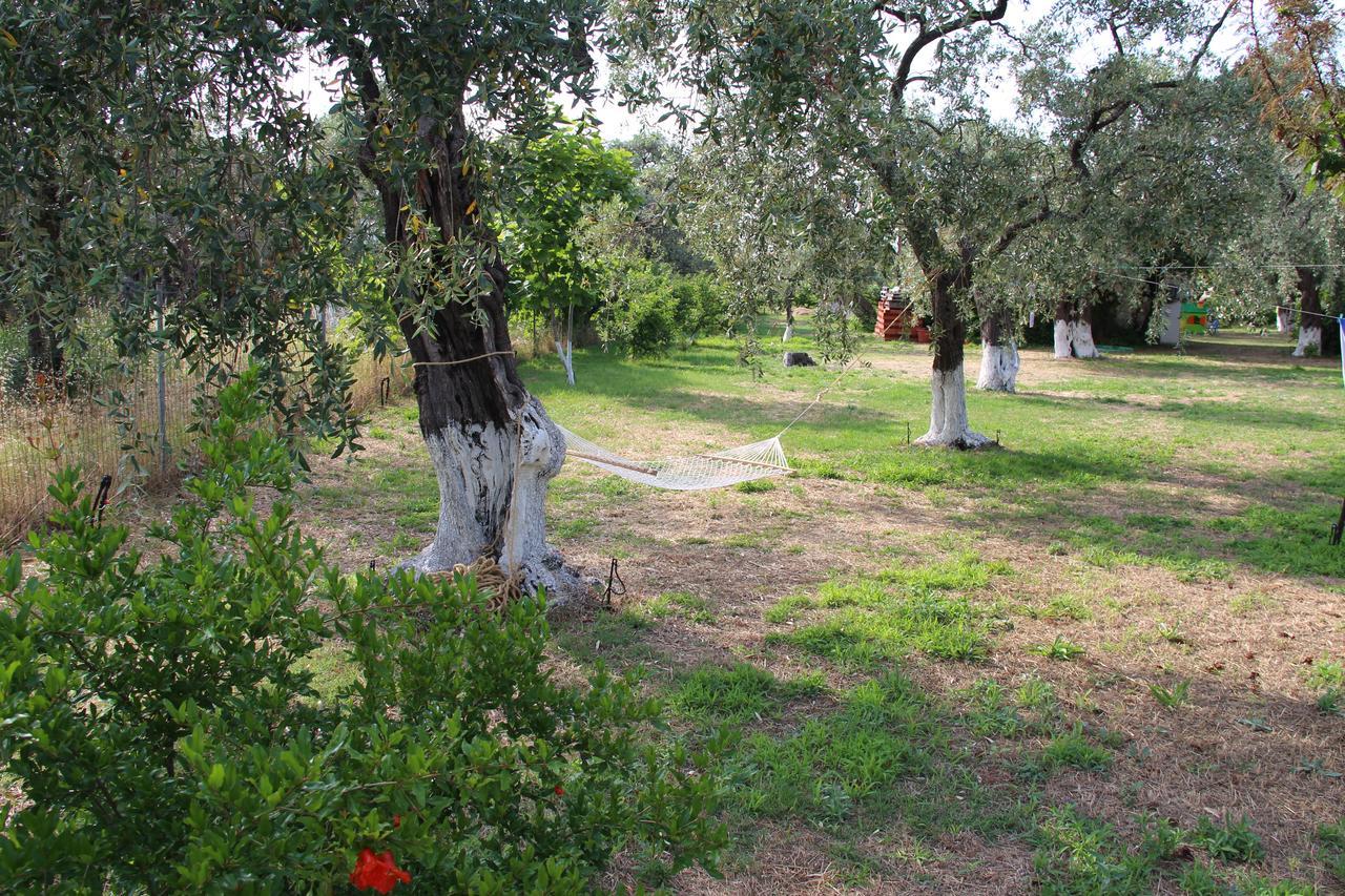 Apartmán Patroudis House Skala Rachoni  Exteriér fotografie